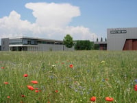 Muntzenheim