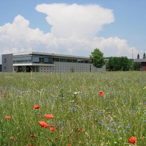 Espace Ried Brun