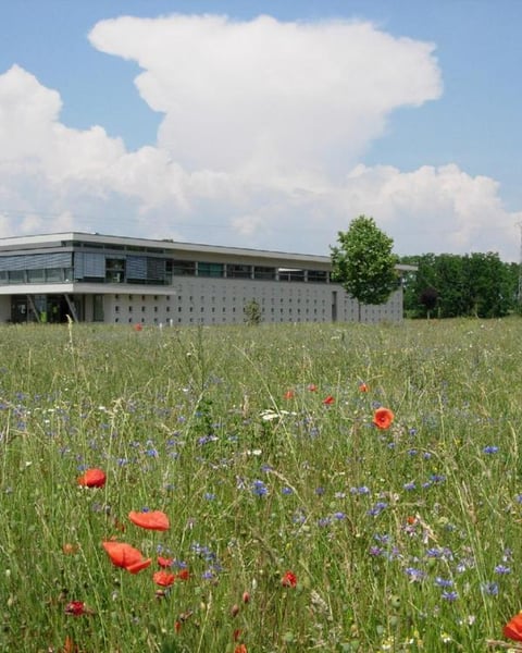Espace Ried Brun