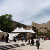 Château du Hohlandsbourg