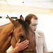 Compagnie EquiNote