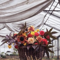Découverte d'une ferme florale
