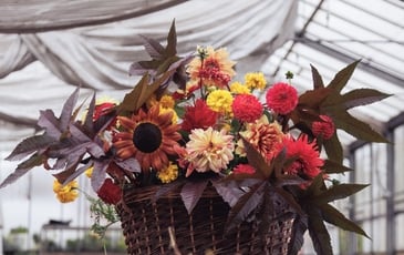 Découverte d'une ferme florale