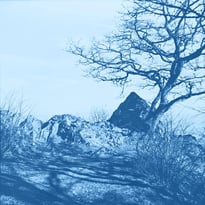 Atelier de cyanotype, photographies d'archives !
