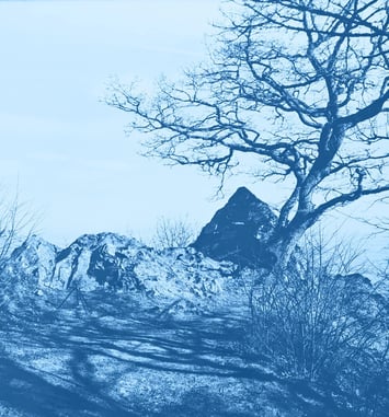 Atelier de cyanotype, photographies d'archives !