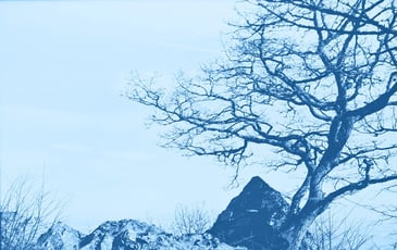 Atelier de cyanotype, photographies d'archives !