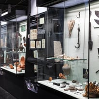 Visite guidée d'un musée gallo-romain