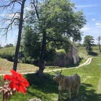 Animation portant sur le patrimoine naturel de Neuf-Brisach
