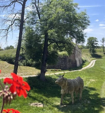 Animation portant sur le patrimoine naturel de Neuf-Brisach