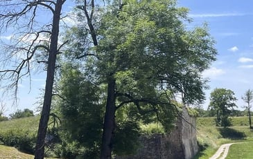 Animation portant sur le patrimoine naturel de Neuf-Brisach