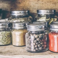Les secrets des plantes : atelier ouvert