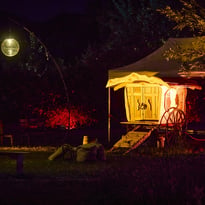 Féeries Nocturnes au Jardin