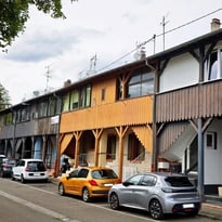 Préservons le bois dans nos rues