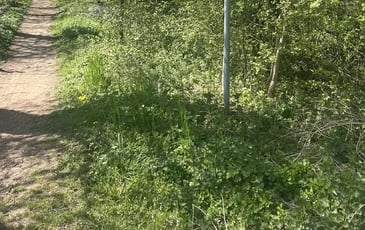Chantier participatif en faveur du patrimoine naturel