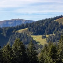 Sortie sur le terrain avec l'Office National des Forêts