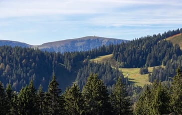 Sortie sur le terrain avec l'Office National des Forêts
