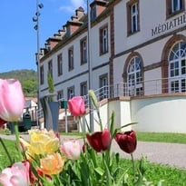 Conférence du Parc naturel régional des Ballons des Vosges