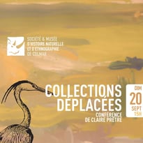 Des collections déplacées par la guerre