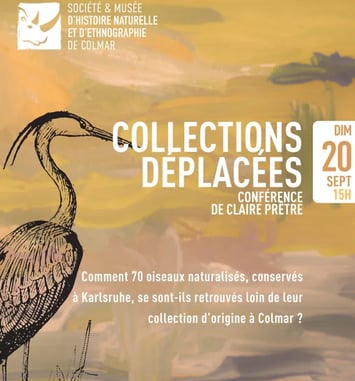 Des collections déplacées par la guerre
