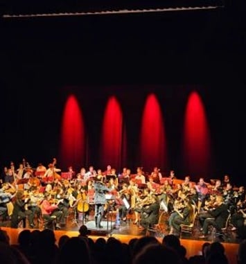 Orchestre du Collegium Musicum de Mulhouse