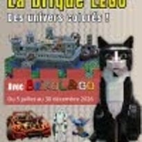 La brique LEGO® : des univers colorés !