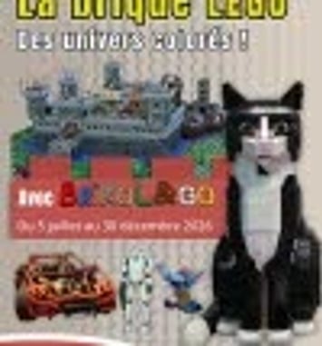 La brique LEGO® : des univers colorés !