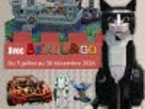 La brique LEGO® : des univers colorés !