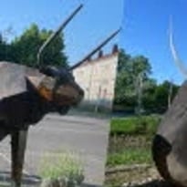 Festival Nature & Culture – Concert des Animaux