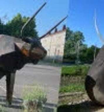 Festival Nature & Culture – Concert des Animaux