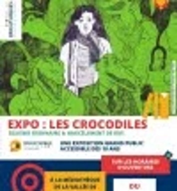 Les crocodiles : sexisme ordinaire et harcèlement de rue