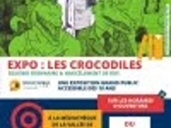 Les crocodiles : sexisme ordinaire et harcèlement de rue
