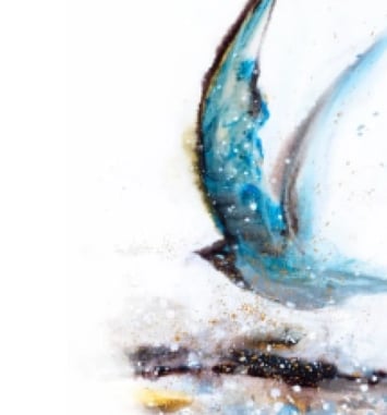 Exposition : Antoine Brellmann