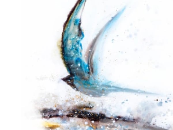 Exposition : Antoine Brellmann