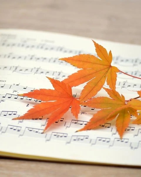 Concert d'automne