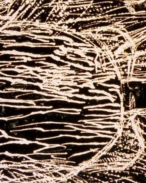 Exposition : palette d'émotions
