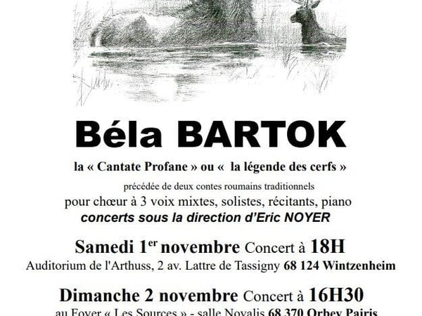 Concert - Béla Bartok