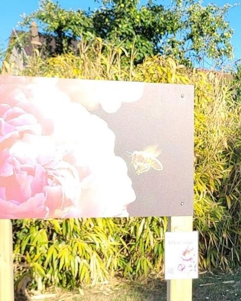 Exposition photographique : Poèmes de pollens