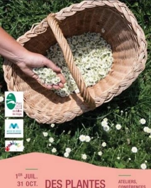 Exposition : Des plantes et des hommes