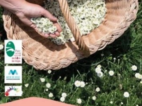 Exposition : Des plantes et des hommes