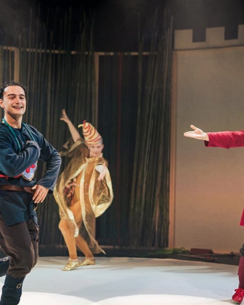 Spectacle Le petit roi Arthur : Theater Baden Alsace