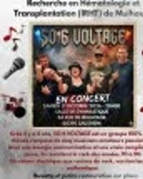 Concert de rock caritatif