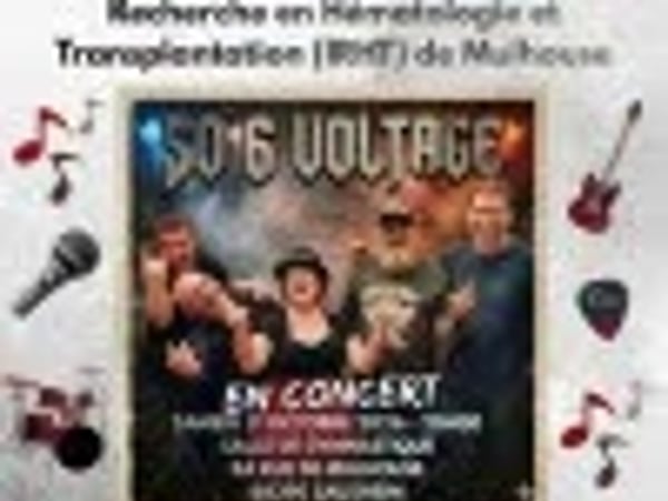 Concert de rock caritatif