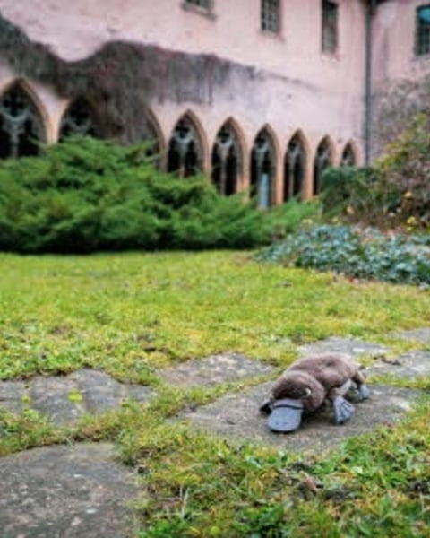 Visite tout-petits | Le voyage de Platypus